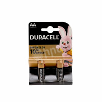 Battery alkaline Duracell AA