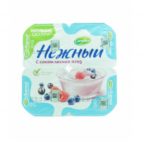 Yogurt Product with Wild Berry Juice Nezhni Campina