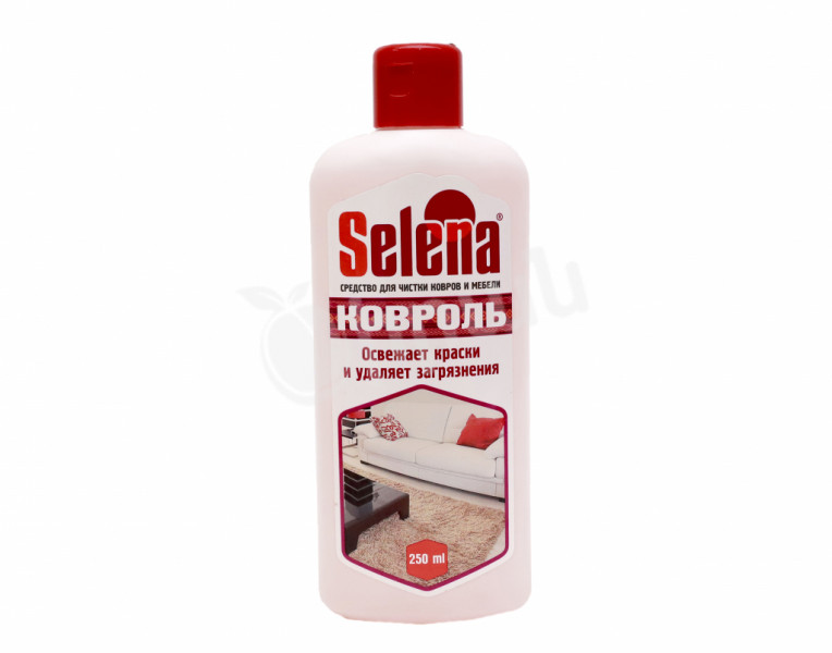 Carpet and upholstery cleaner Selena