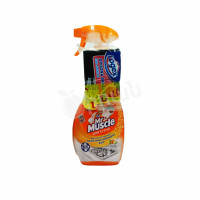 Խոհանոցը լվանալու և մաքրելու միջոց + սպունգ Mr. Muscle