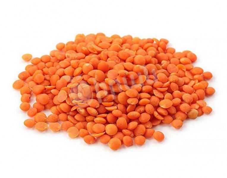Red Lentils Small