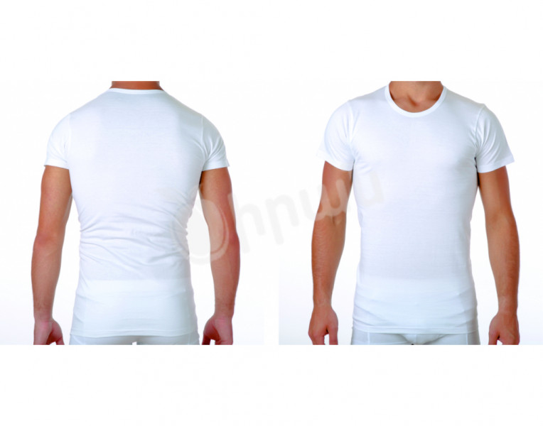 Men's White Closed Neck Short Sleeve T-shirt Alex