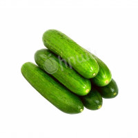 Cucumber Kotayk