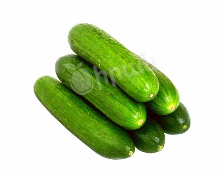 Cucumber Kotayk