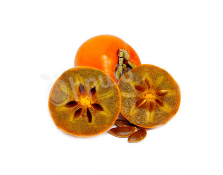 Persimmon