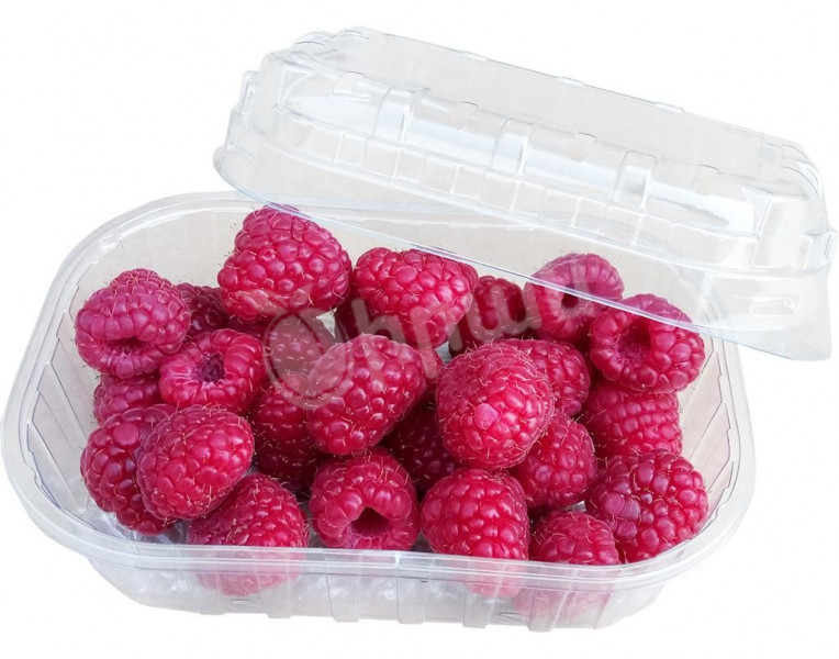 Raspberry in Container