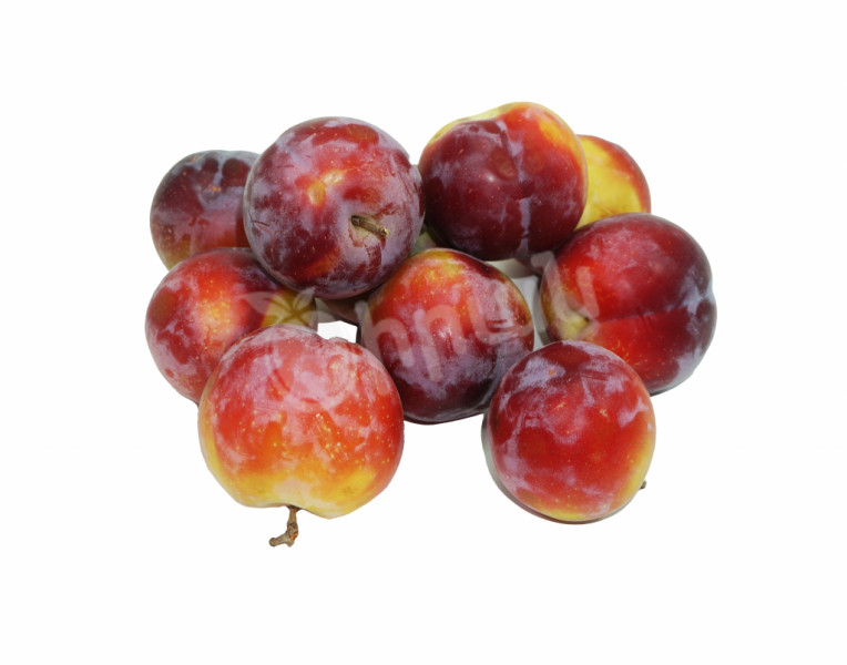 Plums