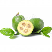 Feijoa