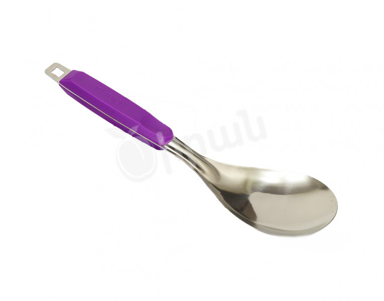 The spoon