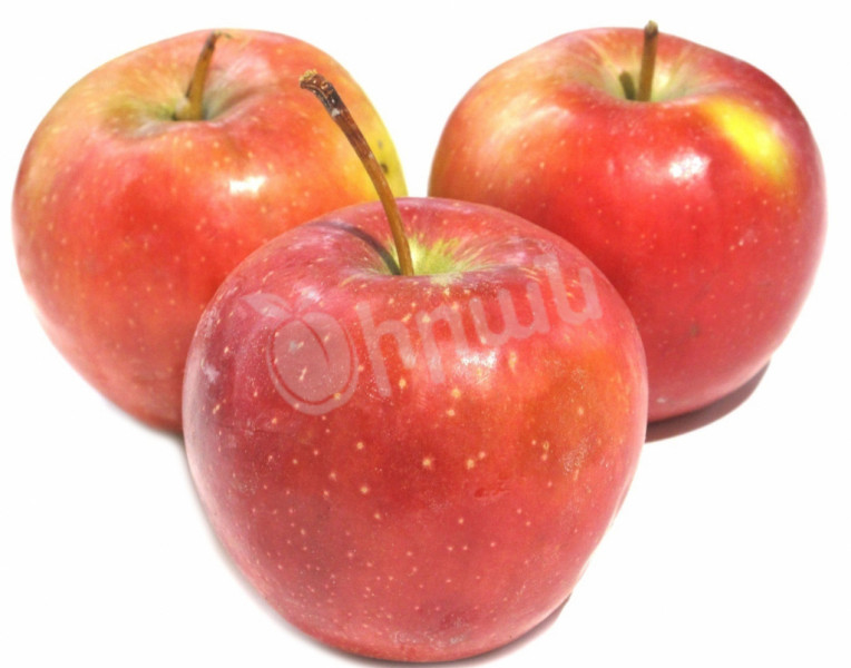 Apple Jonagold