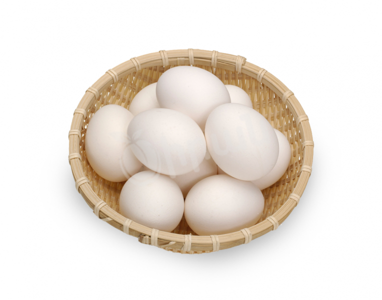 Яйца Эребуни N01
