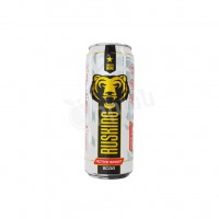 Carbonated energy drink Active Sport RusKing
