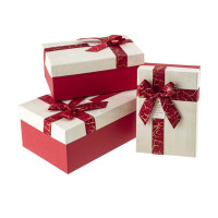 Gift box with ribbon medium
